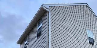 Best Brick Veneer Siding  in Daingerfield, TX